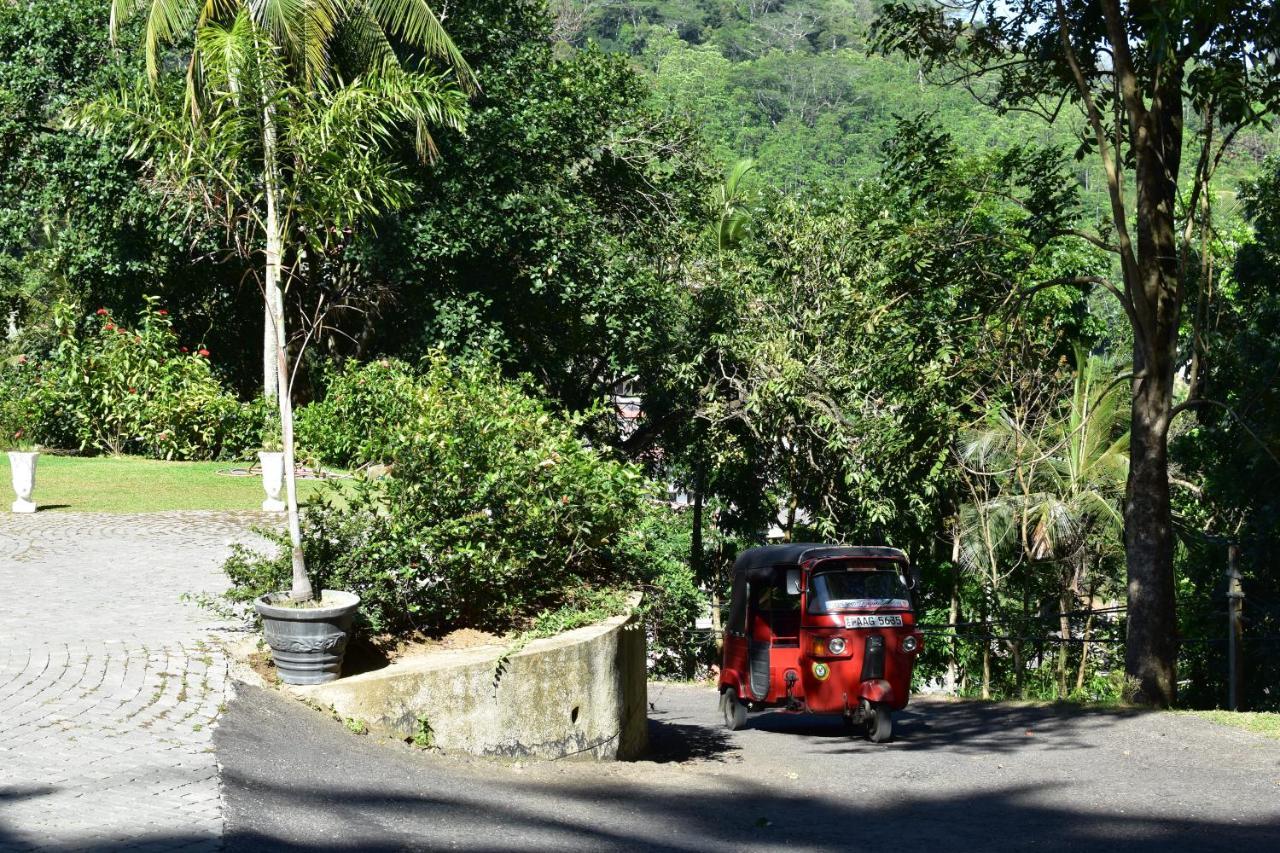 诺丁山乡村别墅住宿加早餐旅馆 Tennekumbura 外观 照片